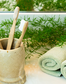 Toothbrushes in holder